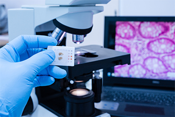 pathology lab in jammu